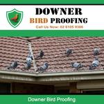 Downer Bird Proofing - photo 1