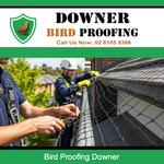 Downer Bird Proofing - photo 2