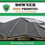 Downer Bird Proofing - photo 3