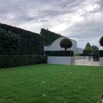 Tuscany Gardens - photo 1