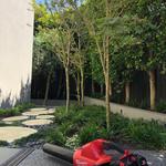 Tuscany Gardens - photo 2