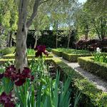 Tuscany Gardens - photo 6