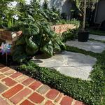 Tuscany Gardens - photo 7