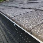 Pro Landscaping Services & Designs - photo 6