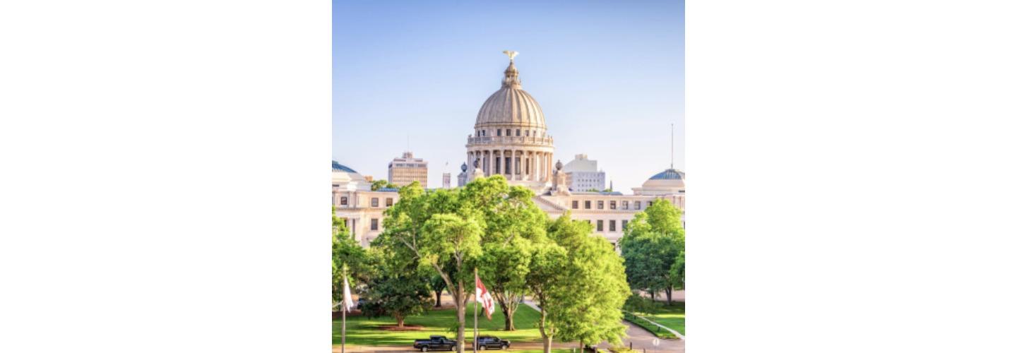 Germany Law Firm PLLC cover photo