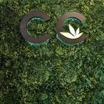 Cannabis Connection - Surrey Cannabis Store - photo 4