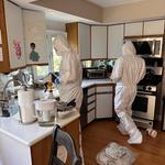 Magic home restoration - photo 8