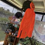 First Steps Killarney  - photo 4