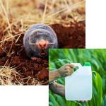 KD Pest Control - photo 1