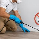 KD Pest Control - photo 3