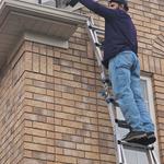 KD Pest Control - photo 4