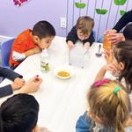 Little Scholars at West 1st Street - photo 5