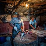 Glenn McKimmin Photo Tours - photo 3