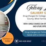 FrizWoods LLC - Criminal Defense Law Firm - photo 1