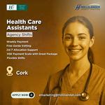 Hollilander Recruitment - photo 1