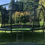 DALINEX LLC - photo 7