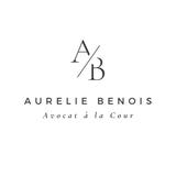 Avocat Pénaliste Pontoise - Maître BENOIS Aurélie - Criminal Defense Law in Paris