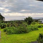 Pacific Roots Landscaping - photo 4