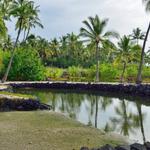 Pacific Roots Landscaping - photo 5