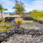 Pacific Roots Landscaping - photo 8