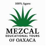 Mezcal Educational Tours - Business Financial Consultants in Oaxaca