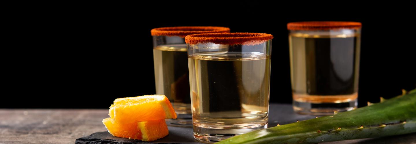 Mezcal Educational Tours cover photo