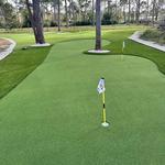 Backyard Birdies Artificial Grass and Putting Greens - photo 1