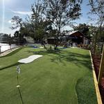 Backyard Birdies Artificial Grass and Putting Greens - photo 8