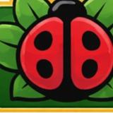 Bug and Bloom - Pest Control in Mesa