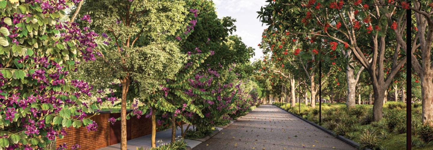 newlaunch cover photo