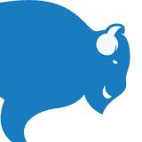 Buffalo DJ Pros - Entertainment in Buffalo