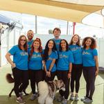 Miss Emily's Bed & Biscuit - photo 6