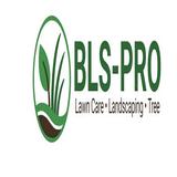 BLS Pro Landscaping Services