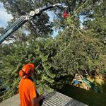 My Florida Tree Guys - photo 3