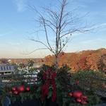 Parrino | Shattuck, PC - photo 1