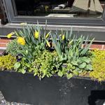 Parrino | Shattuck, PC - photo 2