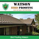Watson Bird Proofing - photo 2