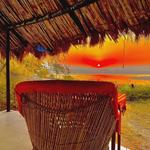 Kutch Safari Resort - Bhuj - photo 6