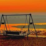 Kutch Safari Resort - Bhuj - photo 7