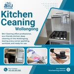 BIU Cleaning service - photo 1