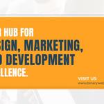 Binary Web Studios - photo 1