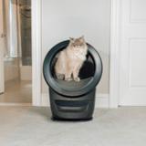 Litter Robot.ee - Animal Shelters in Tarragona