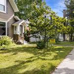 Painting By Don - photo 2