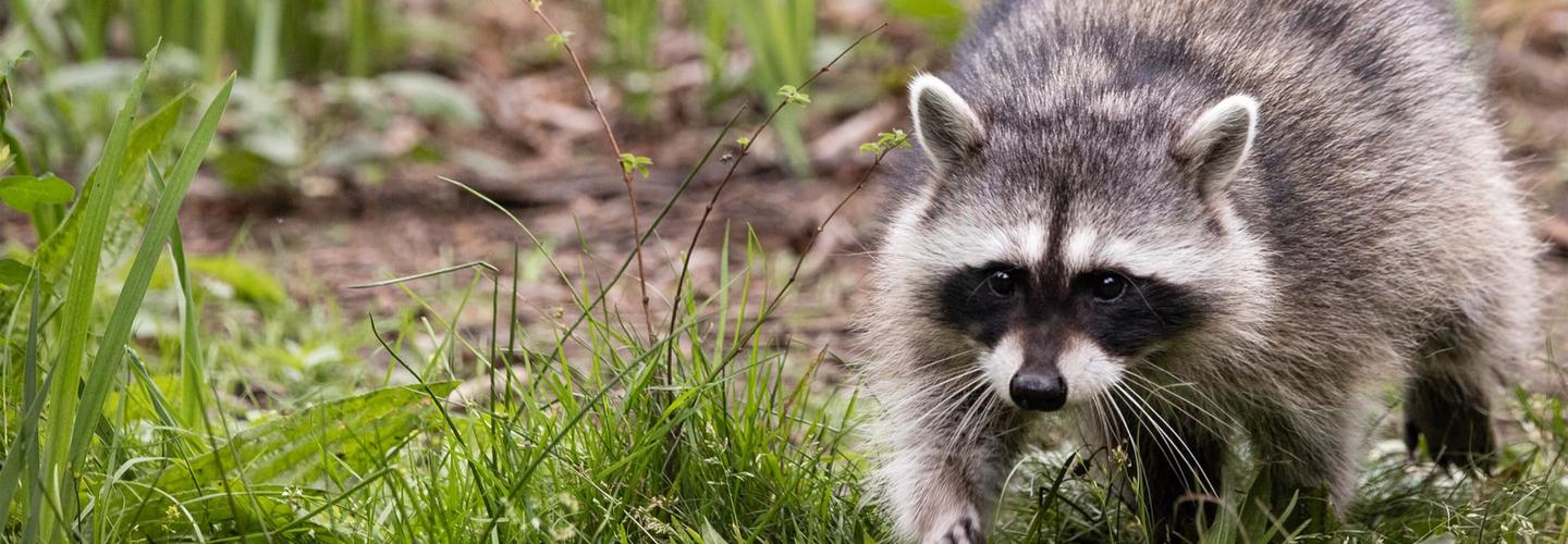 Front Range Pest Control cover photo