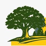 Tree Service York PA - Tree Services in Emigsville