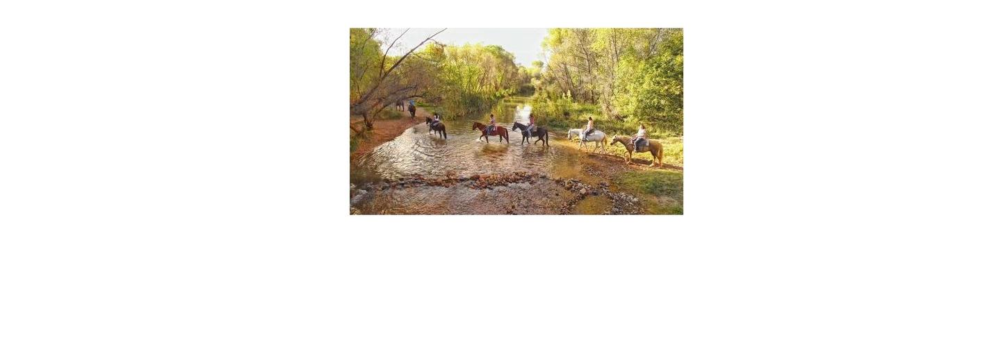 Trail Horse Adventure cover photo