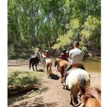 Trail Horse Adventure - photo 1