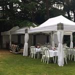 Apollo Party Hire - photo 2