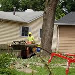 Mathias Precision Tree Service - photo 8