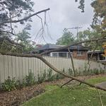 Sam Dynamic Landscapes & Maintenance - photo 3